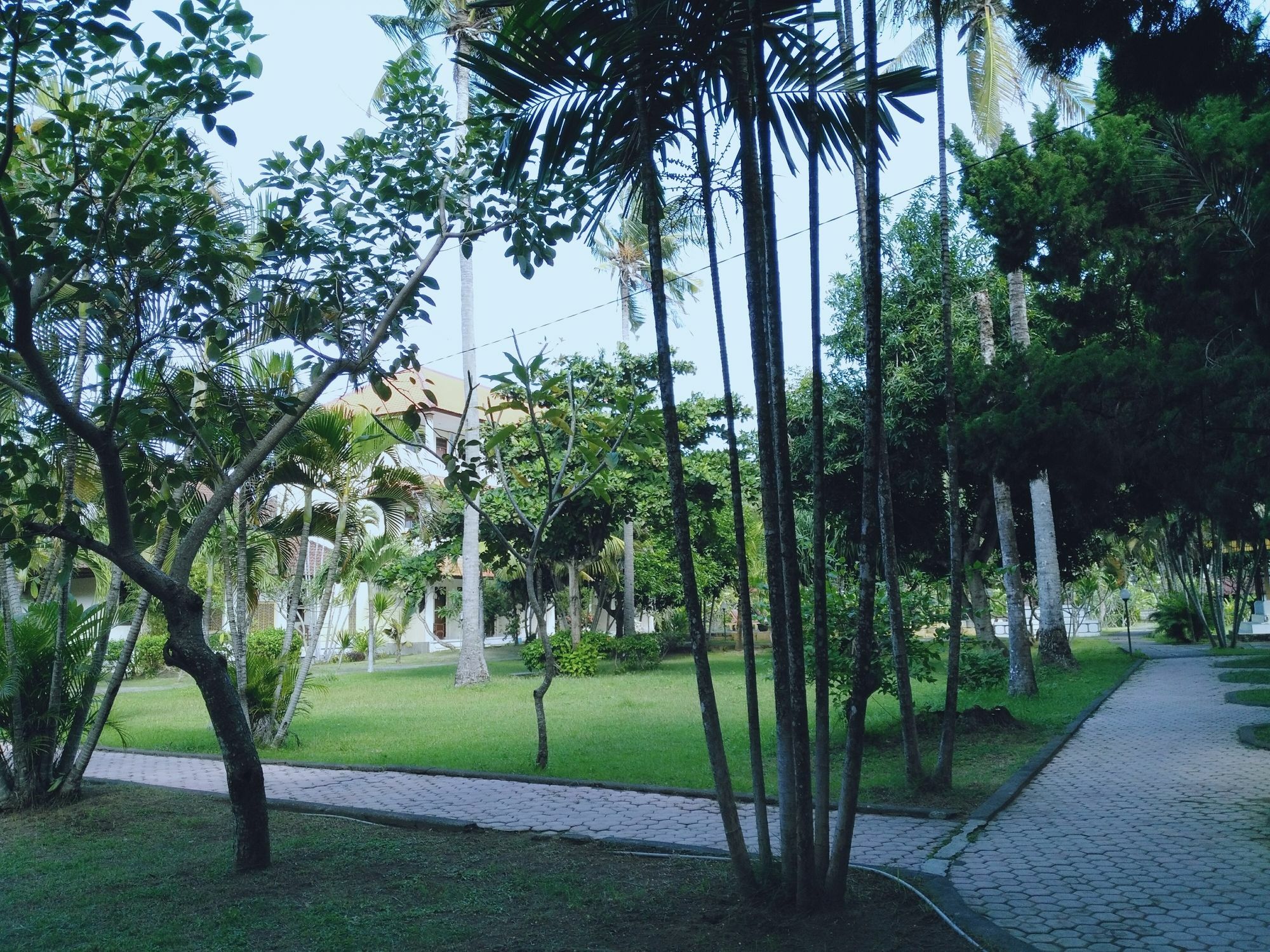 Mekar Jaya Bungalows Kuta Lombok Exterior foto