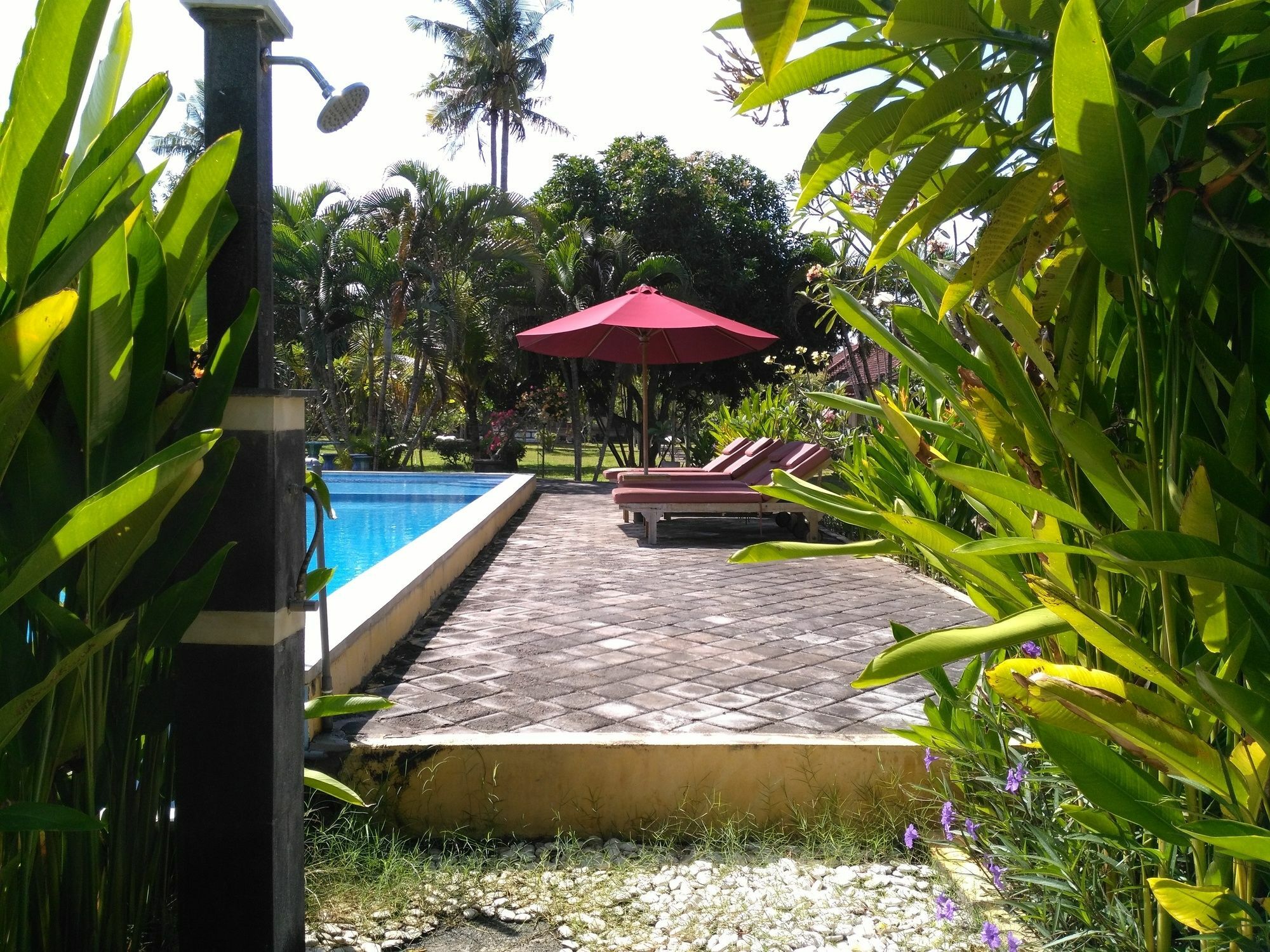 Mekar Jaya Bungalows Kuta Lombok Exterior foto